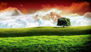Indian-Flag-HD-Images-Wallpapers-