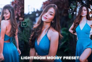 Moody-Bule-Photo-Editing-Lightroom