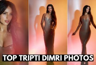 Top Tripti Dimri Photos